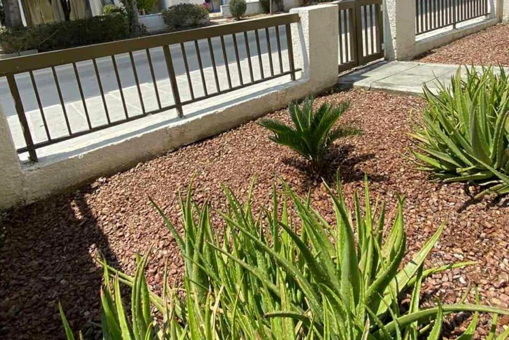 Dalia 9 Apartment Paphos